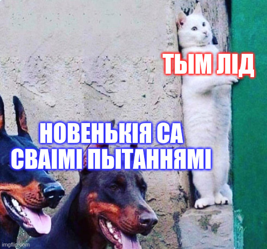 Тым лід хаваецца ад новенькіх распрацоўшчыкаў