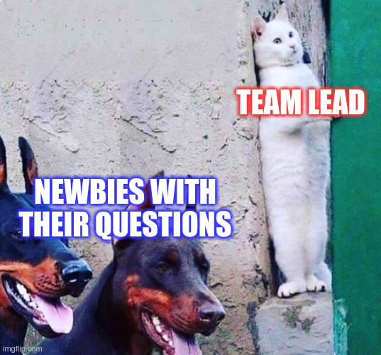 Team lead hiding from newbies