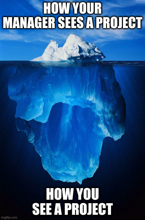 How the manager and engineer see a project